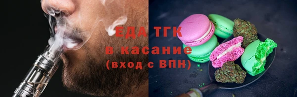 шишки Верея