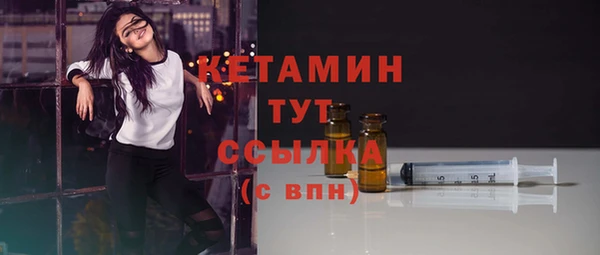 шишки Верея