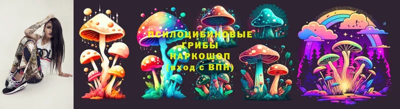 Псилоцибиновые грибы Psilocybine cubensis  наркотики  Кировград 